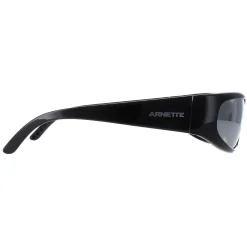 Arnette Oval|Oval^Sunglasses AN4302 Catfish 2900Z3 Recycled Black Silver