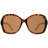 Atum Butterfly^Sunglasses Aelius C2 Shiny Havana Brown Gradient
