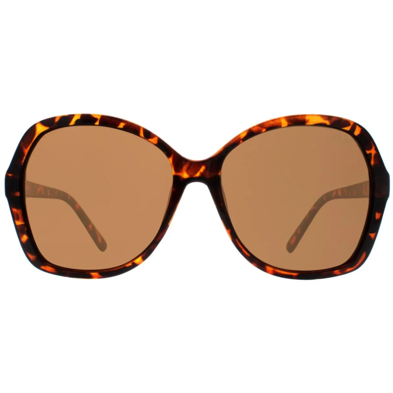 Atum Butterfly^Sunglasses Aelius C2 Shiny Havana Brown Gradient