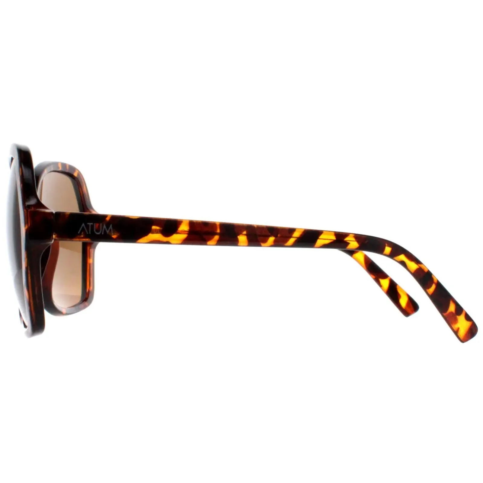 Atum Butterfly^Sunglasses Aelius C2 Shiny Havana Brown Gradient