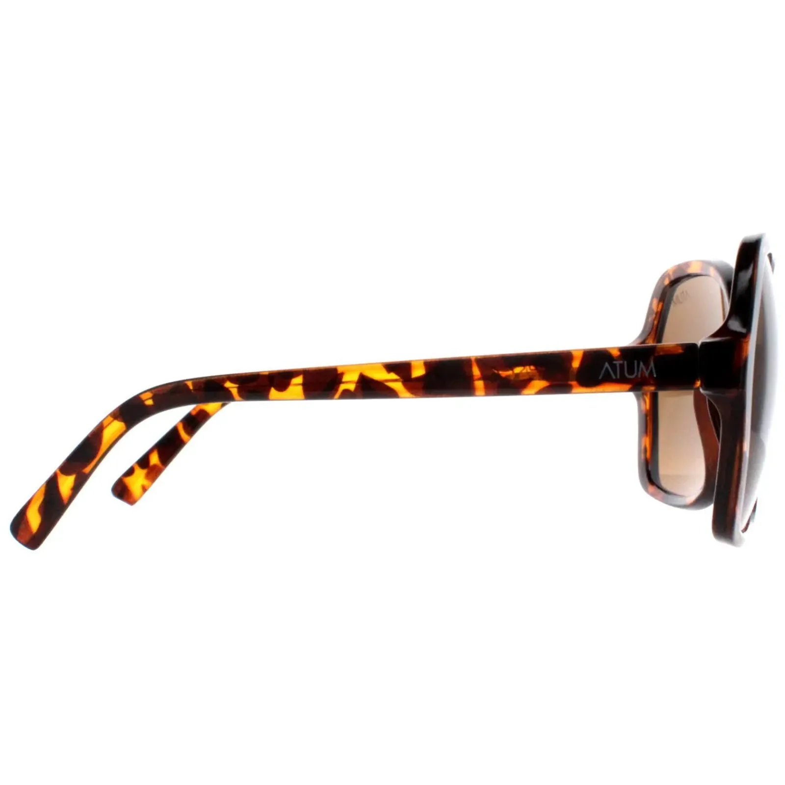 Atum Butterfly^Sunglasses Aelius C2 Shiny Havana Brown Gradient