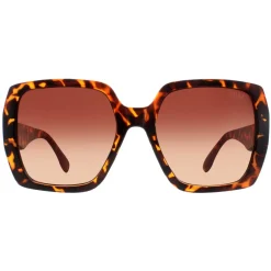 Atum Square^Sunglasses Zouk C2 Shiny Havana Brown Gradient