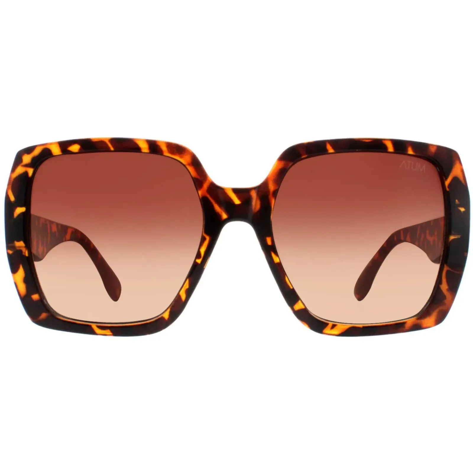Atum Square^Sunglasses Zouk C2 Shiny Havana Brown Gradient