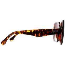 Atum Square^Sunglasses Zouk C2 Shiny Havana Brown Gradient