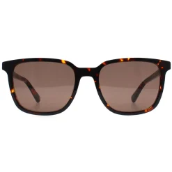 Banana Republic Rectangle^Sunglasses BR 4003/S 086 70 Havana Brown