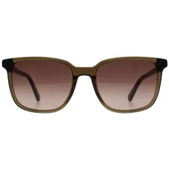 Banana Republic Rectangle^Sunglasses BR 4003/S 1ED HA Green Brown Gradient