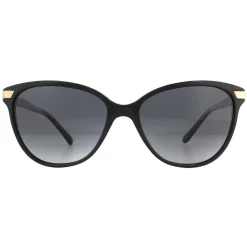 Burberry Polarised^Sunglasses BE4216 3001T3 Black Grey Gradient Polarized