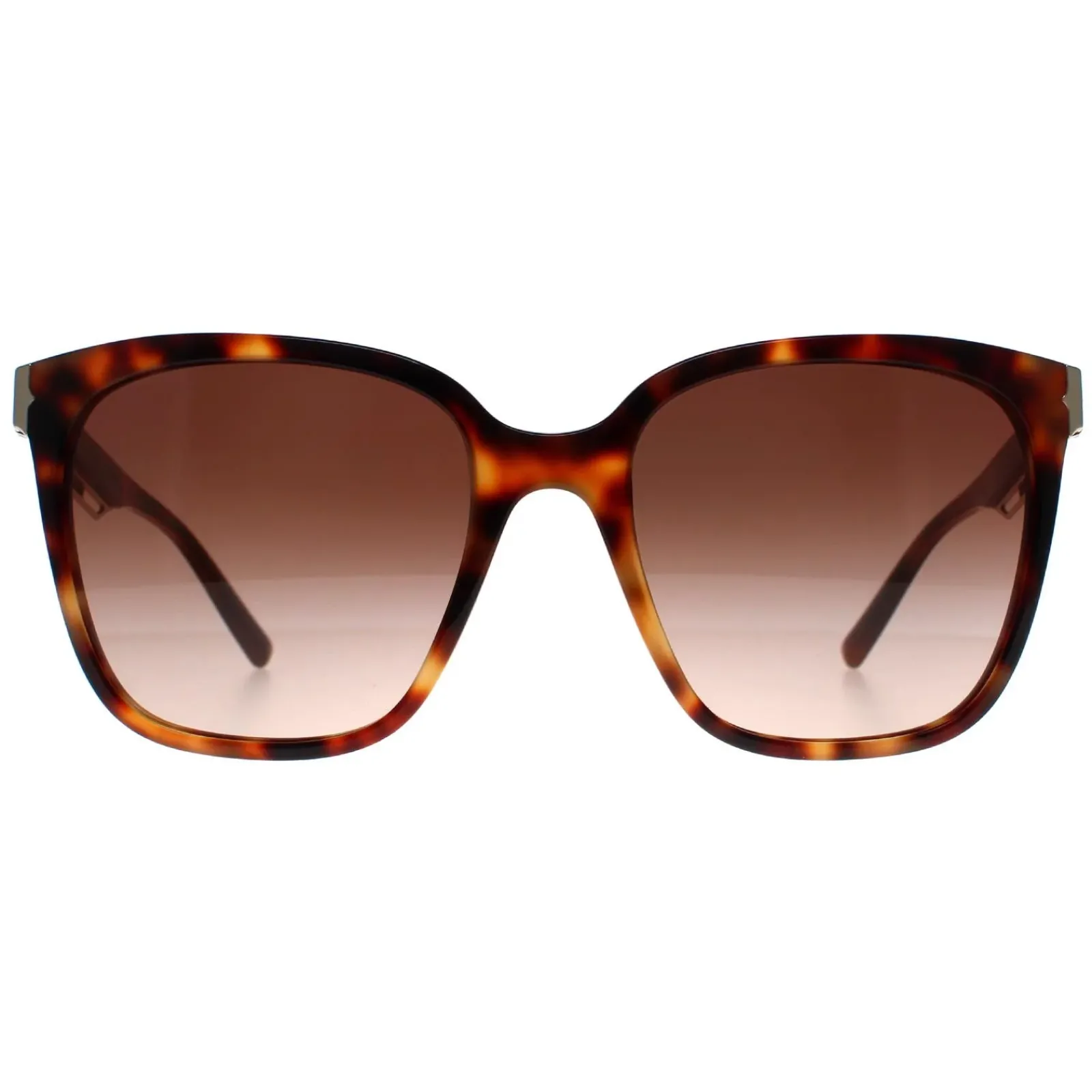 Bvlgari Square^Sunglasses BV8245 551513 Havana Brown Gradient