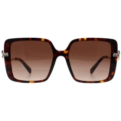 Bvlgari Square^Sunglasses BV8243B 504/13 Havana Brown Gradient