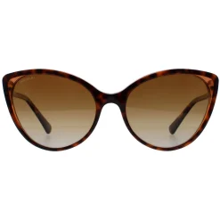 Bvlgari Cat-Eye^Sunglasses BV8246B 5496T5 Havana Brown Transparent Brown Gradi