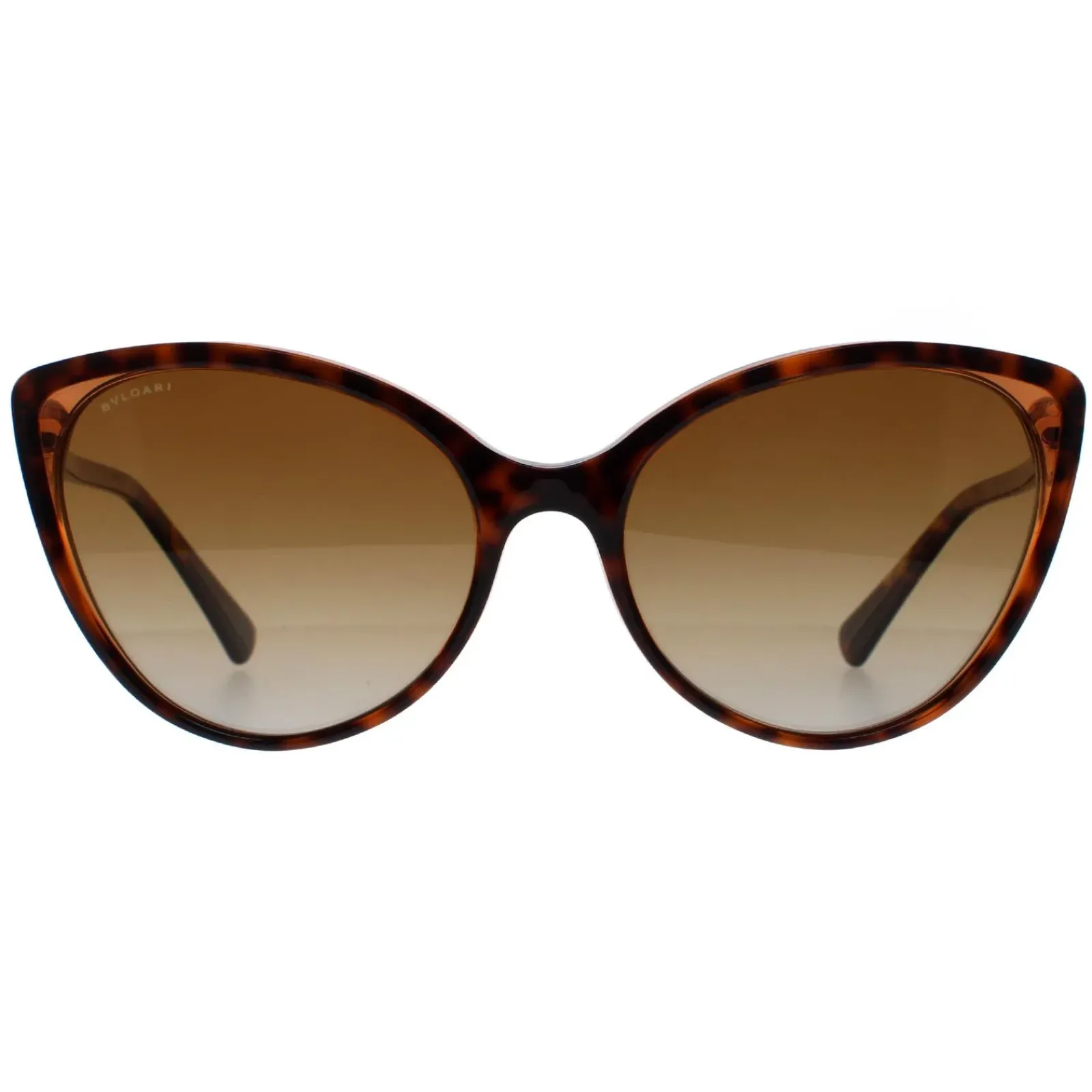Bvlgari Cat-Eye^Sunglasses BV8246B 5496T5 Havana Brown Transparent Brown Gradi