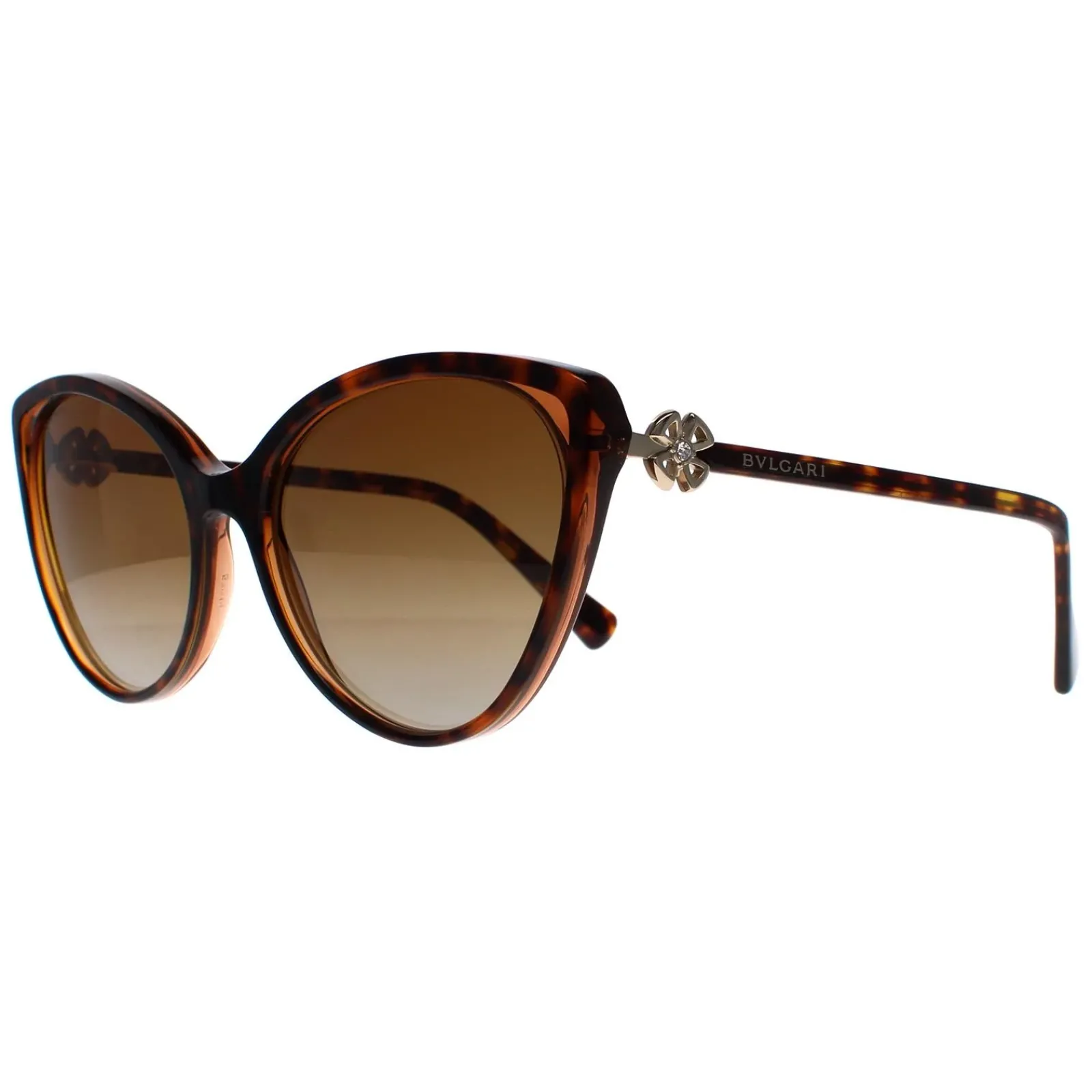Bvlgari Cat-Eye^Sunglasses BV8246B 5496T5 Havana Brown Transparent Brown Gradi