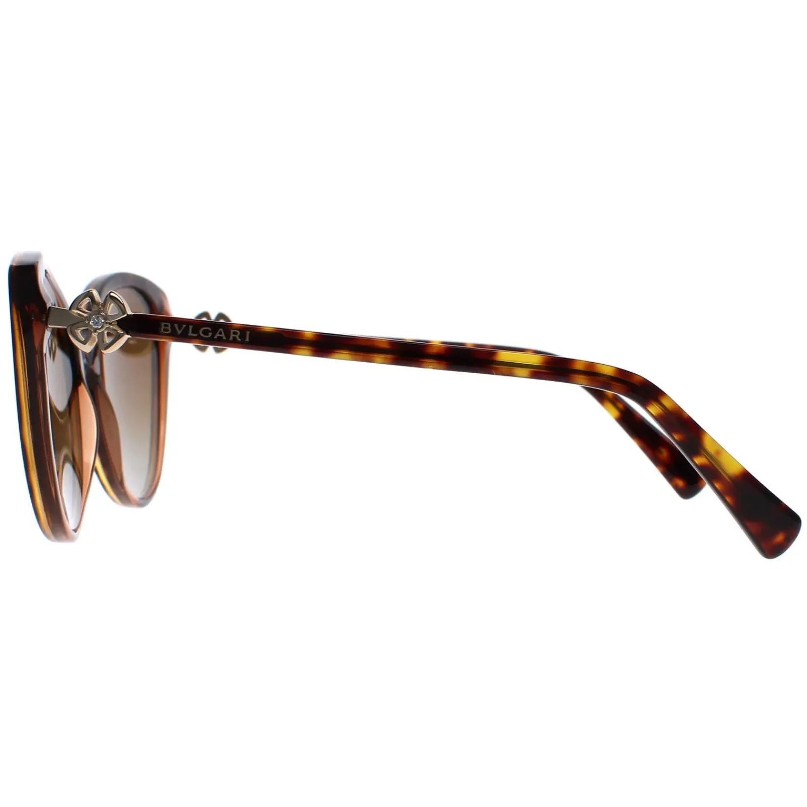 Bvlgari Cat-Eye^Sunglasses BV8246B 5496T5 Havana Brown Transparent Brown Gradi