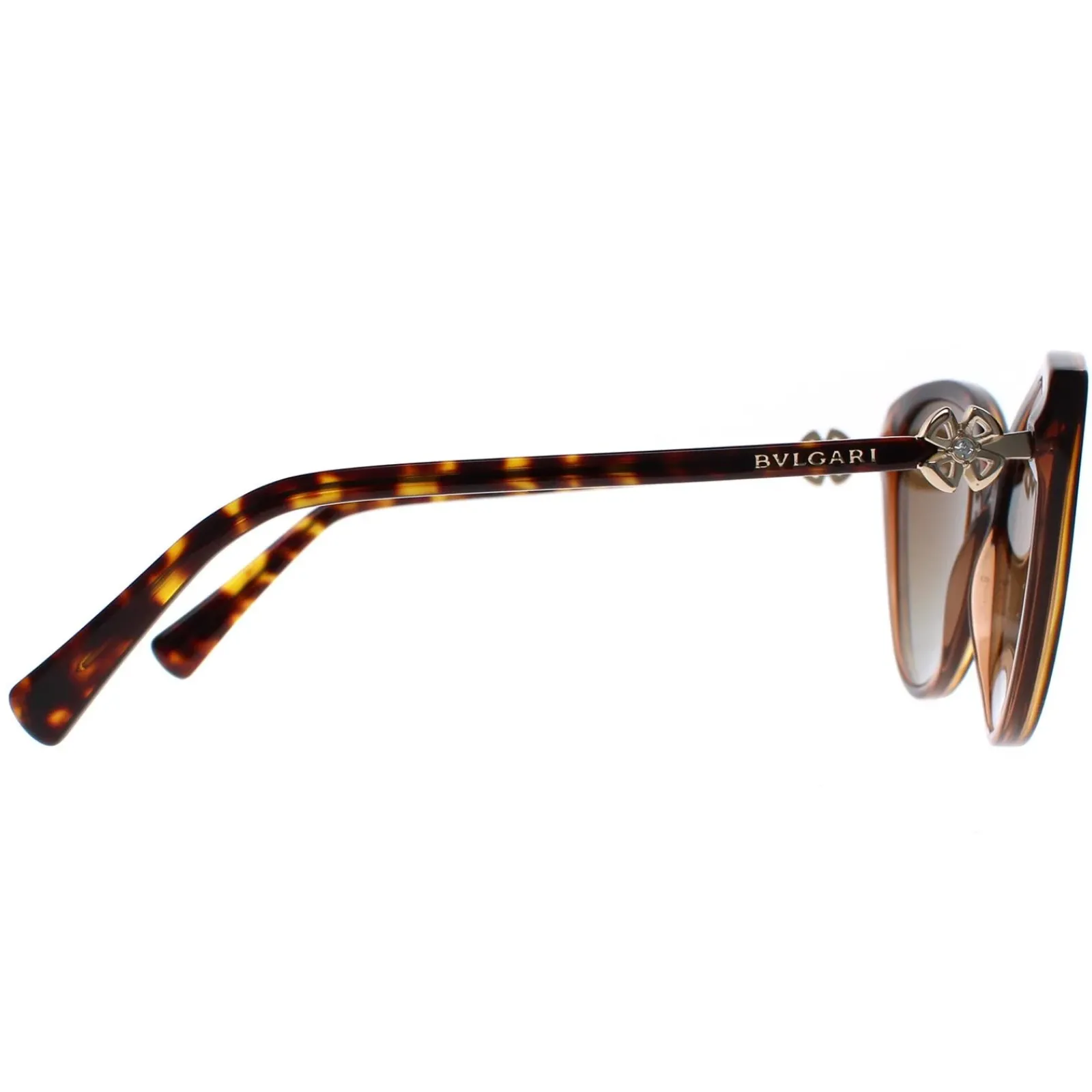 Bvlgari Cat-Eye^Sunglasses BV8246B 5496T5 Havana Brown Transparent Brown Gradi