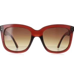 Calvin Klein Square^Sunglasses CK22550S 210 Transparent Brown Brown Gradient