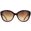 Calvin Klein Cat-Eye^Sunglasses CK19536S 210 Crystal Brown Brown