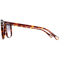 Chloe Aviator^Sunglasses CH0104S 007 Shiny Medium Havana Grey Gradient
