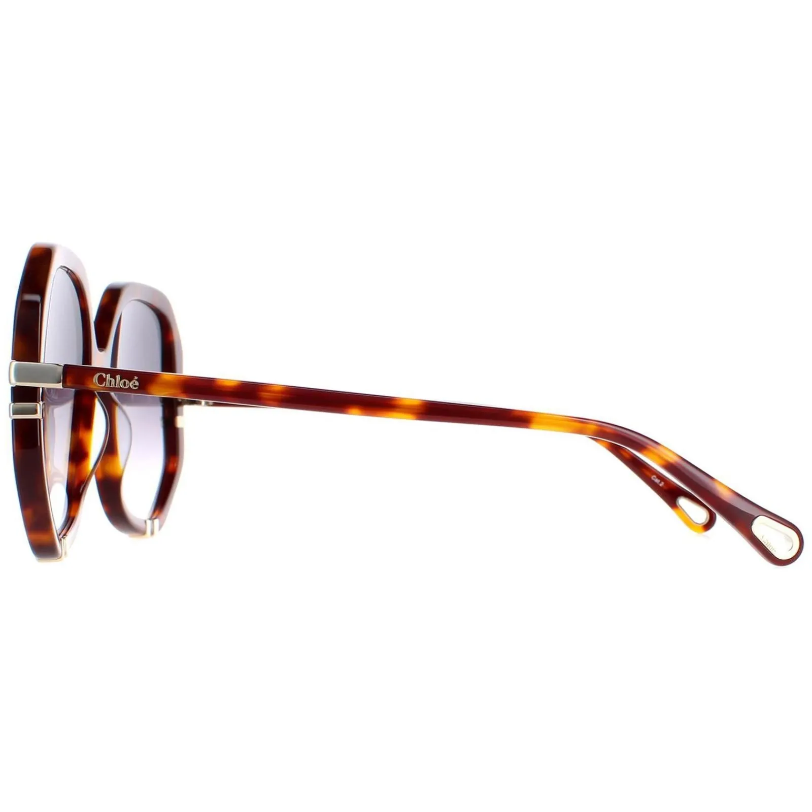 Chloe Square^Sunglasses CH0105S 004 Tortoise Grey Gradient