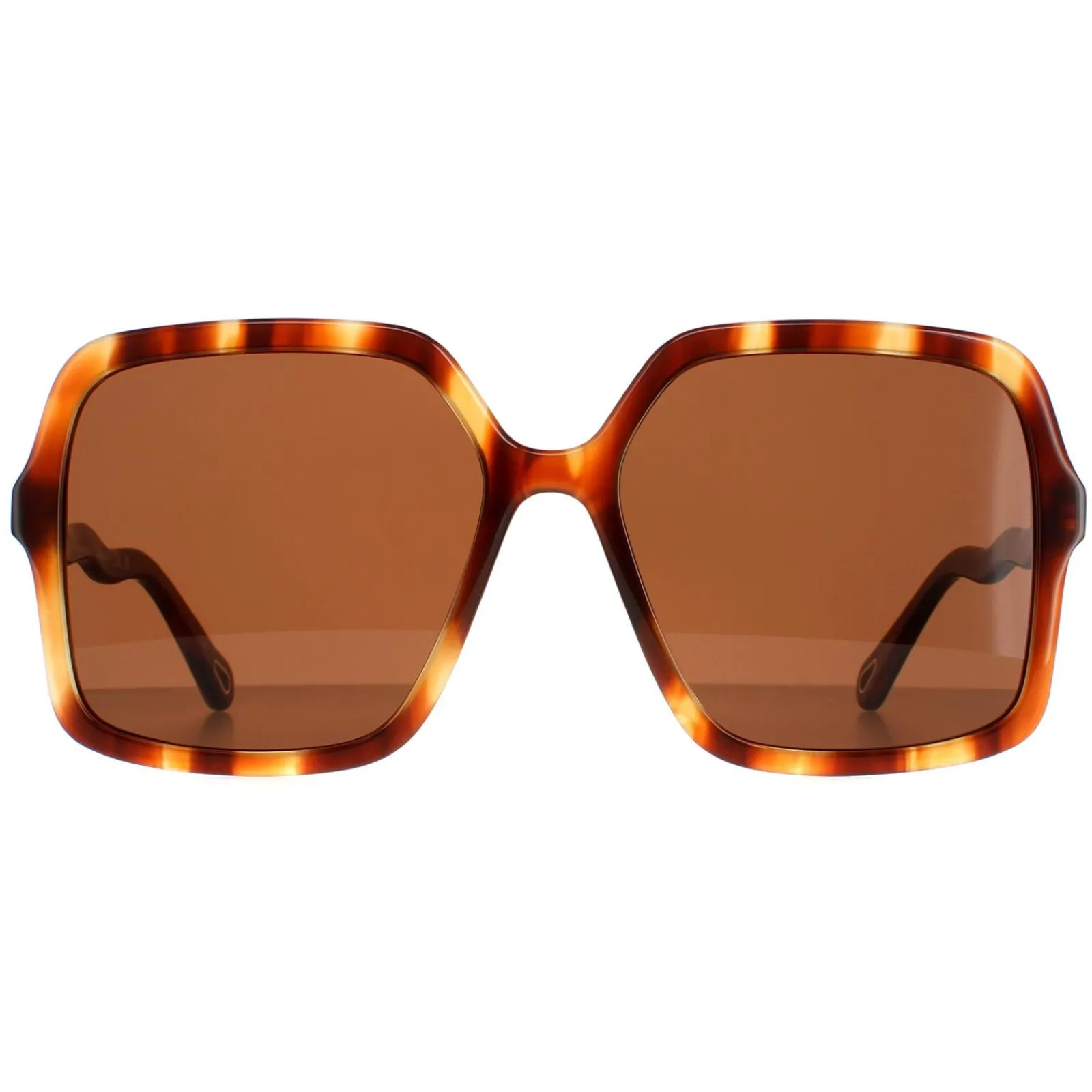 Chloe Square^Sunglasses CH0086S Zelie 005 Havana Brown