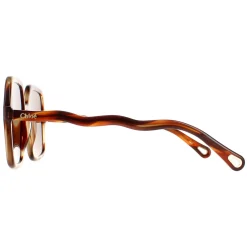 Chloe Square^Sunglasses CH0086S Zelie 005 Havana Brown
