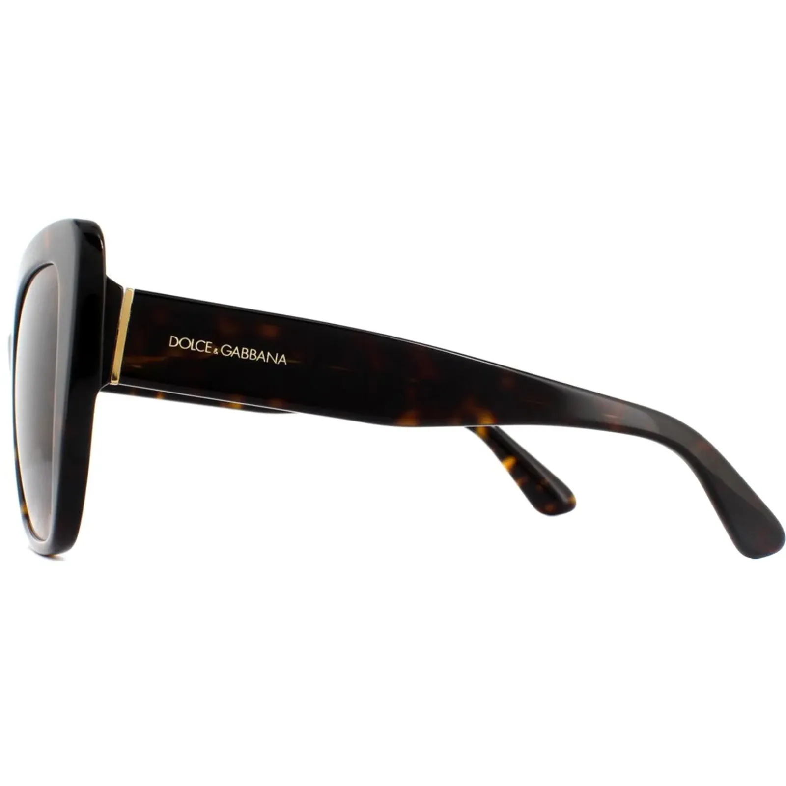 Dolce u0026 Gabbana Cat-Eye|D&G^Dolce & Gabbana Sunglasses DG4348 502/13 Havana Brown Gradient