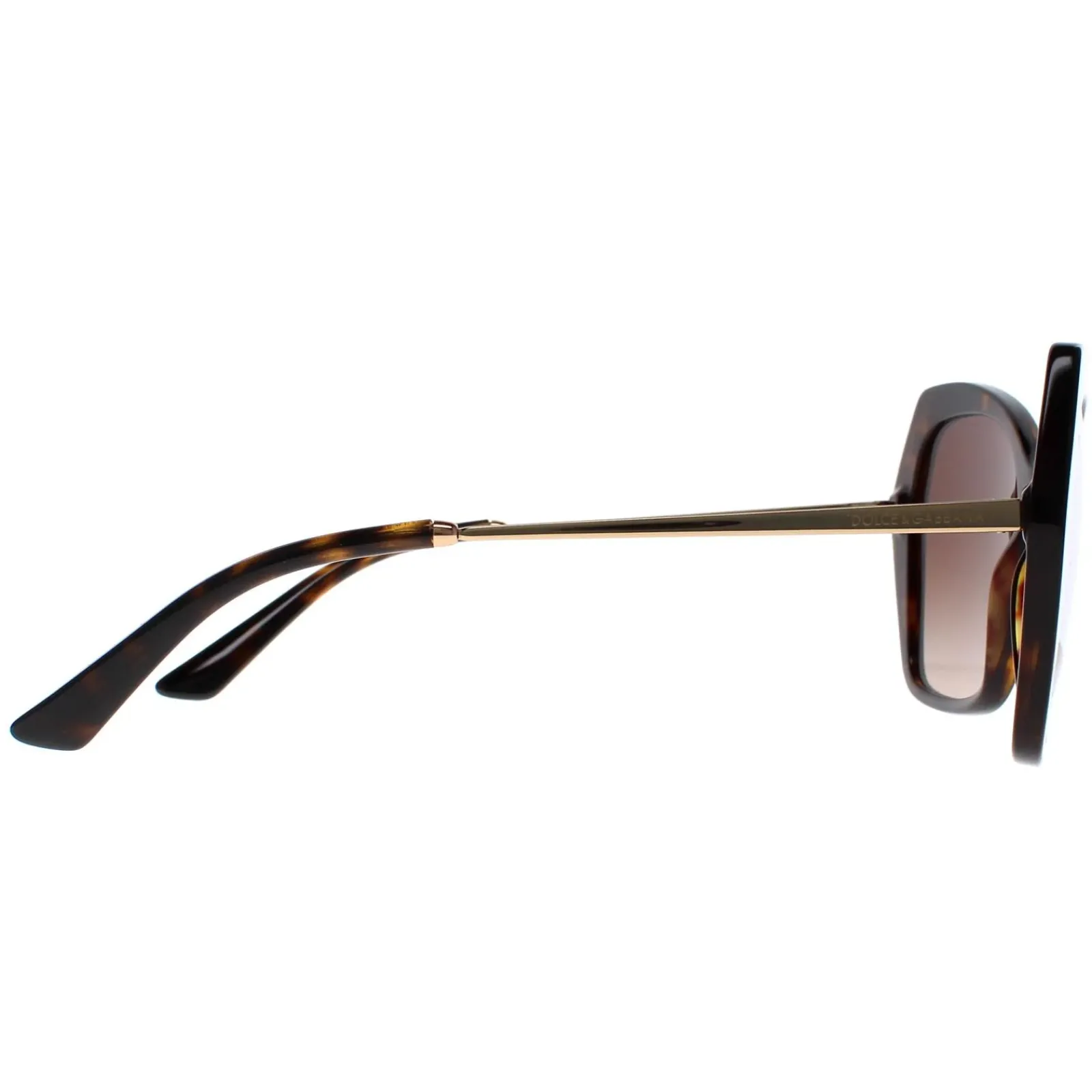 Dolce u0026 Gabbana Butterfly|D&G^Dolce & Gabbana Sunglasses DG4399 502/13 Havana Brown Gradient
