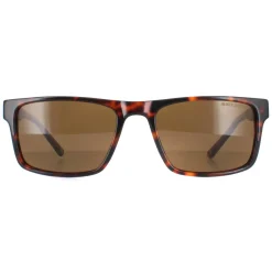 Duck and Cover Square^Sunglasses DCS032 C2 Havana Brown