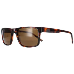 Duck and Cover Square^Sunglasses DCS032 C2 Havana Brown