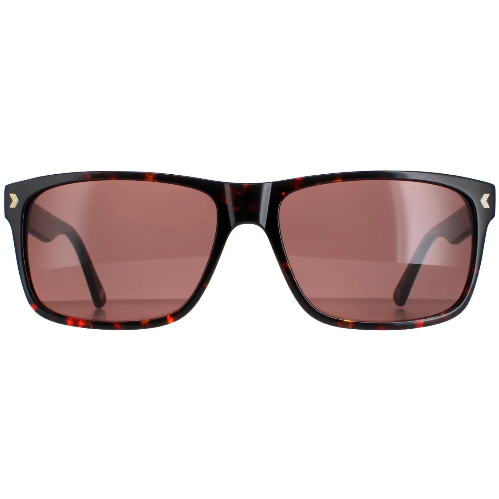 Duck and Cover Rectangle^Sunglasses DCS026 C2 Havana Brown