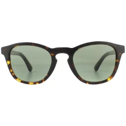 Giorgio Armani Round^Sunglasses AR8112 5026/2 Havana Green