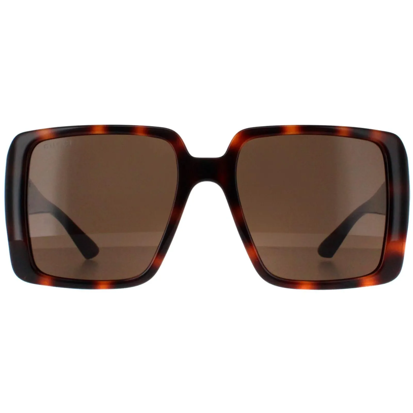 Gucci Gucci|Square^Sunglasses GG1692S 002 Dark Havana with Gold Dark Brown