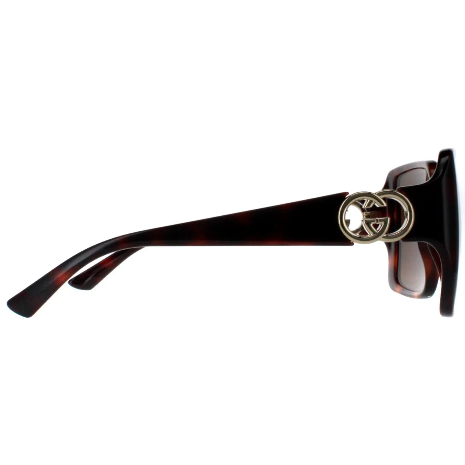 Gucci Gucci|Square^Sunglasses GG1692S 002 Dark Havana with Gold Dark Brown