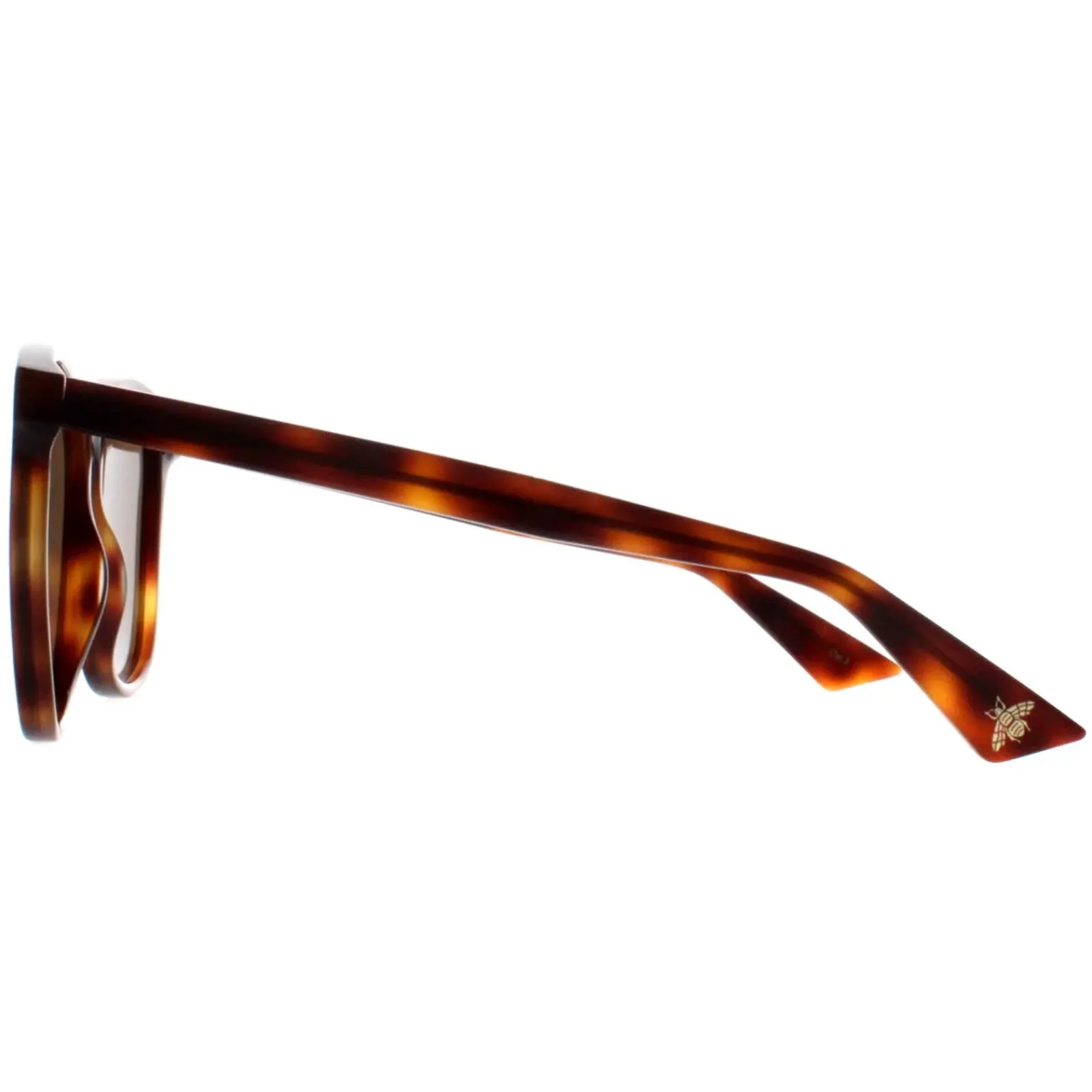 Gucci Gucci|Gucci^Sunglasses GG0024S 002 Havana Brown