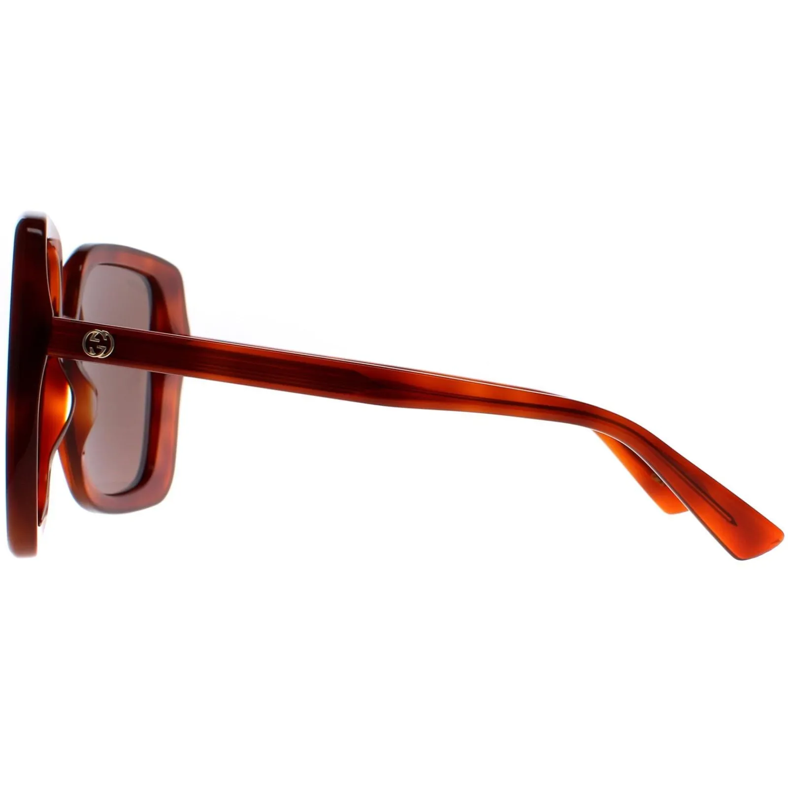 Gucci Gucci|Square^Sunglasses GG1314S 002 Havana Brown