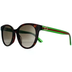 Gucci Gucci|Gucci^Sunglasses GG0702SKN 003 Havana With Green and Red Brown Gradien