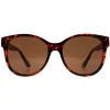Guess Guess|Guess^Sunglasses GF0362 52F Brown Brown Gradient
