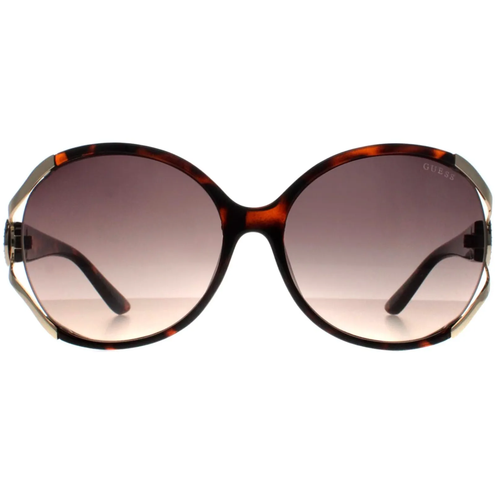 Guess Guess|Butterfly^Sunglasses GF6099 52F Dark Havana Brown Gradient