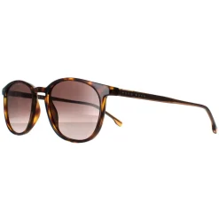 Hugo Boss Round|Hugo Boss^Sunglasses BOSS 1087/S 086 Havana Brown Gradient