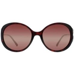 INVU Polarised^Sunglasses B2117 B Demi Gold Brown Tortoise Brown Polarized