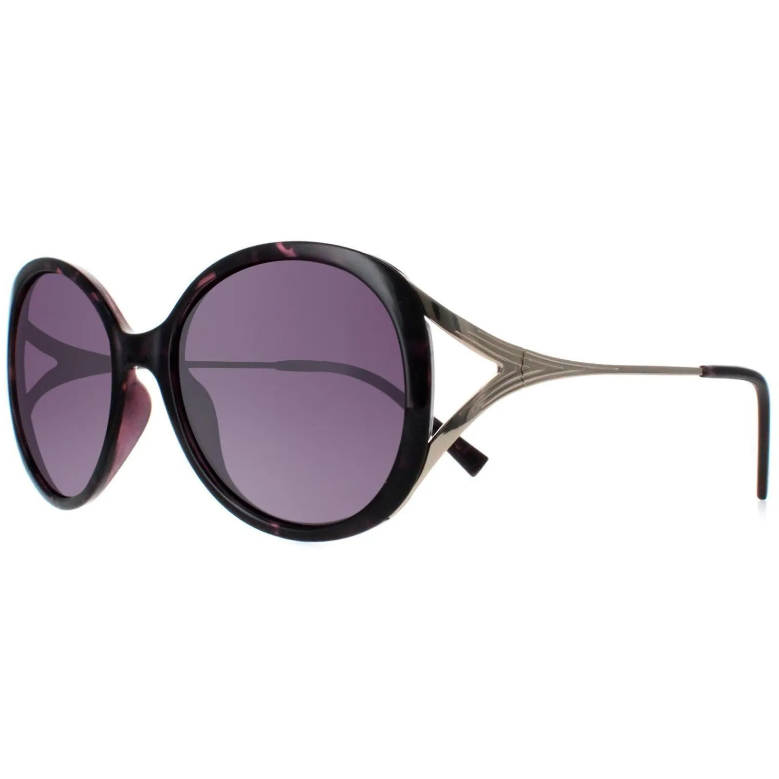 INVU Polarised^Sunglasses B2117 C Dark Tortoise Purple Demi Gold Purple Polarize