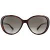 Jimmy Choo Butterfly|Jimmy Choo^Sunglasses AMIRA/G/S 086 HA Dark Havana Brown Gradient