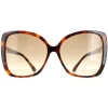 Jimmy Choo Butterfly|Jimmy Choo^Sunglasses BECKY/F/S 086 HA Havana Brown Gradient