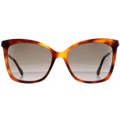 Jimmy Choo Cat-Eye|Jimmy Choo^Sunglasses MACI/S 086 HA Havana Brown Gradient