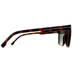 Lacoste Rectangle^Sunglasses L959S 230 Brown Shiny Havana Green
