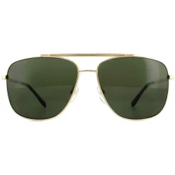 Lacoste Aviator|Aviator^Sunglasses L188S 714 Gold Green
