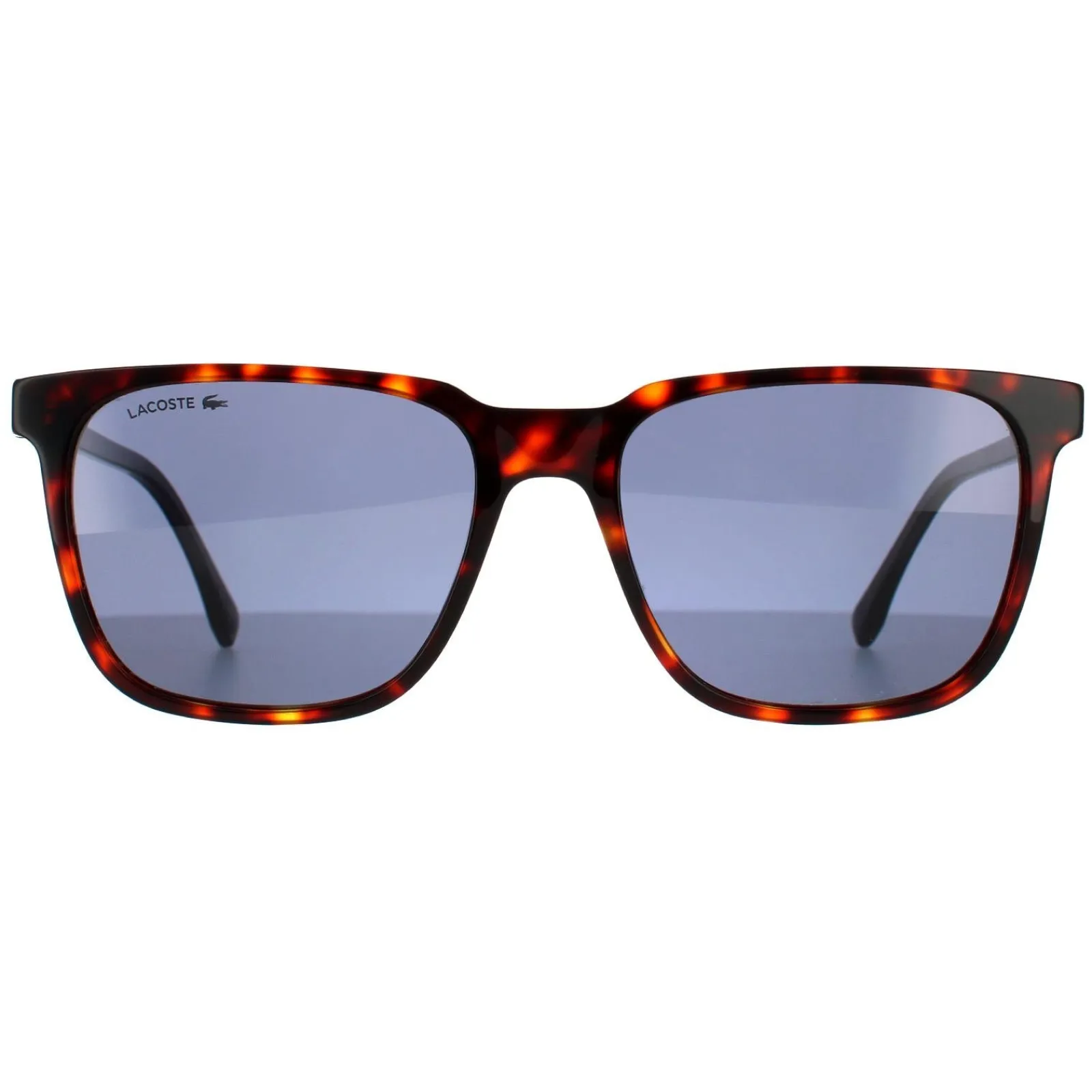 Lacoste Square|Square^Sunglasses L910S 220 Havana Red Solid Blue