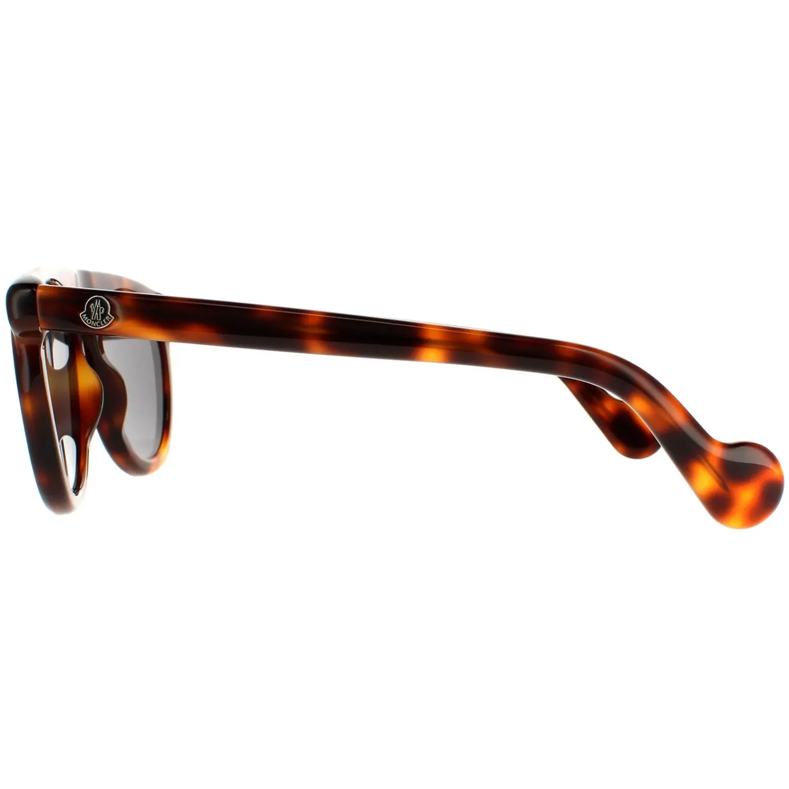 Moncler Moncler^Sunglasses ML0100 52A Dark Havana Grey