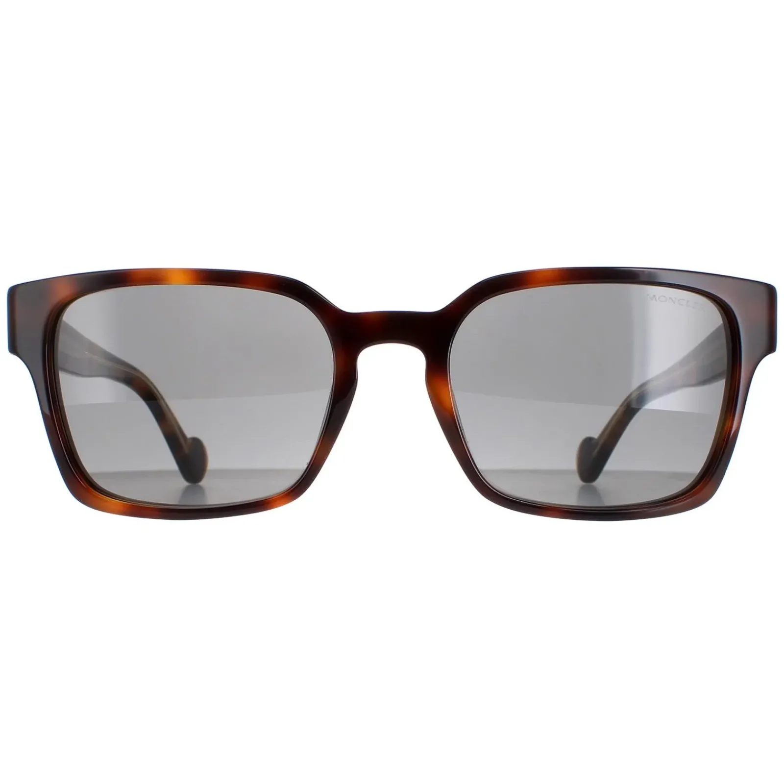 Moncler Moncler^Sunglasses ML0143 56A Havana Grey