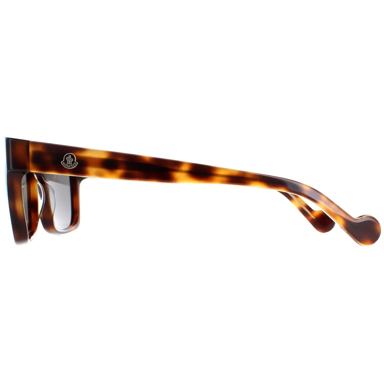 Moncler Moncler^Sunglasses ML0143 56A Havana Grey