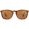 Montana Polarised|Rectangle^Sunglasses MP34 C Brown Turtle Rubbertouch Brown Polarized